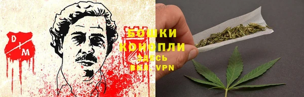 шишки Алексеевка
