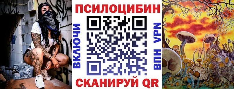 блэк спрут как войти  Евпатория  Галлюциногенные грибы GOLDEN TEACHER 